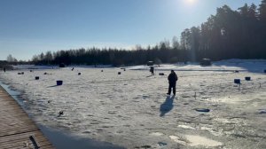 Запуск форели в акваторию !!!