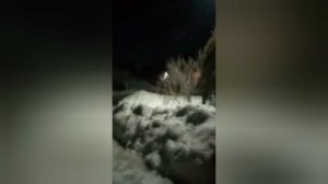 Травля продолжение