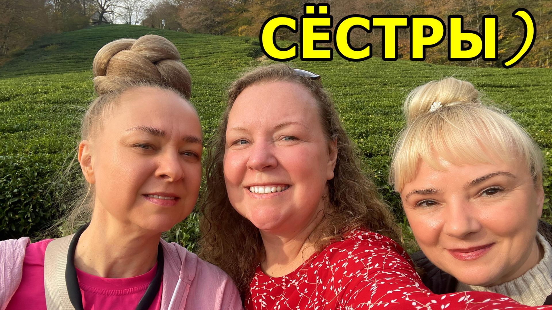 ОСМОТР НЕРАБОТАЮЩЕЙ ЛИНИИ ОБРАБОТКИ ЧАЯ. МАЦЕСТА-ЧАЙ. 24 НОЯБРЯ 2025. СОЧИ. смотреть онлайн