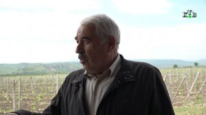 Хуьруьн майишат цпицIрин багъ