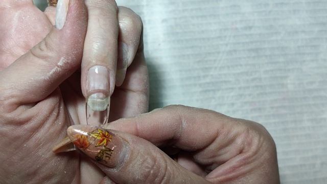 ЗАМЕСИТЕЛЬНАЯ ХРОНИКА!  САМА СЕБЕ!