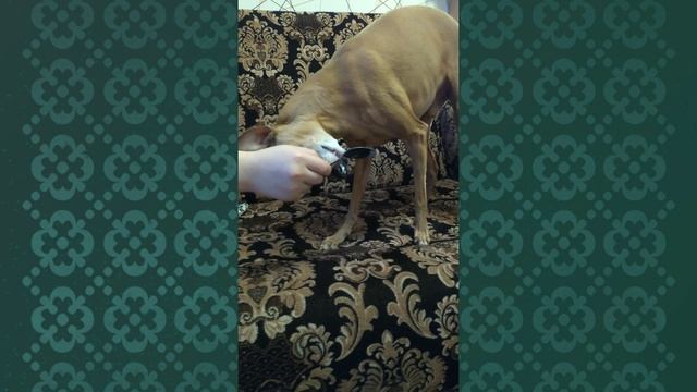 Йогурт с ложечки