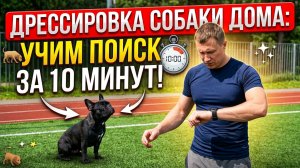 Дрессировка собак дома: учим поиску за 10 минут!