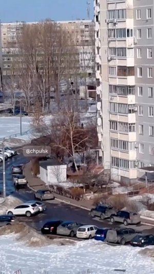 ⚔️ Утро в Новом городе начинается не с кофе, а с битвы за лавочку.