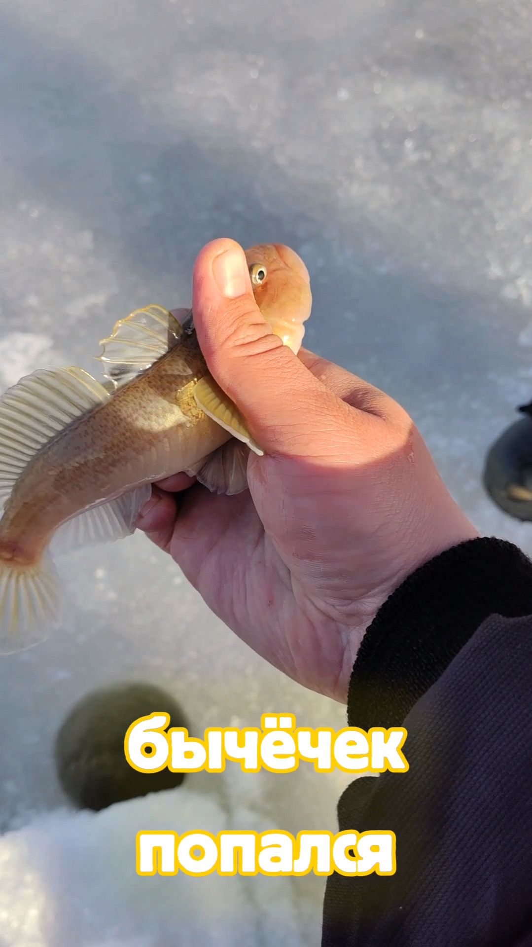 Отпустил рыбку