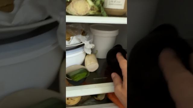 Что добавить для усиления программы