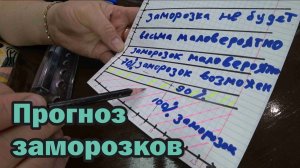 Как определить, будут ли заморозки или нет
