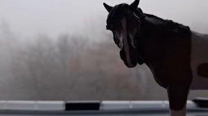 НОВОСТИ!!!  СМОТРЕТЬ ВСЕМ!!!!!!