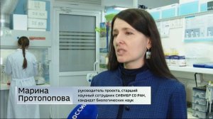 Проект иркутских ученых выиграл грант Президентского фонда природы