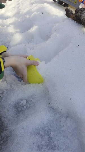 Муравей-ленд