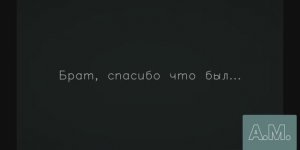 Брат, я вернулся домой! Жаль только - ты не со мной/