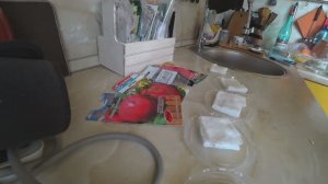 Замачивание семян томатов перекисью: 3 лайфхака с крышечками 🍅 И как я запекаю свиные рёбрышки