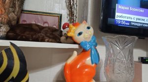 Проказница Ириска