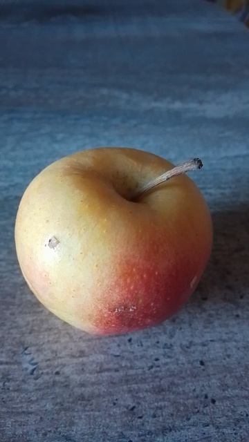 Он что то заподозрил