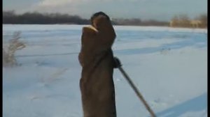 Новый год 2011 от Кормопроизводства ОмГАУ ОМСХИ