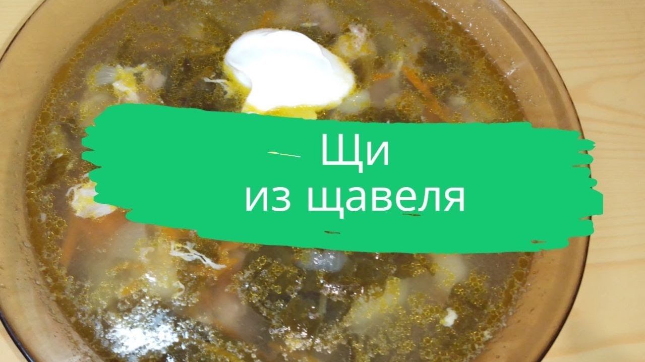 Щи из щавеля