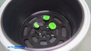 Ученые ЯГТУ разработали гель для заживления ран