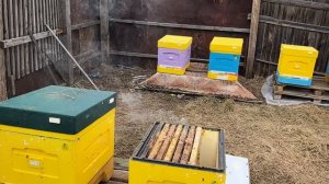 Осмотр после переезда на поля))