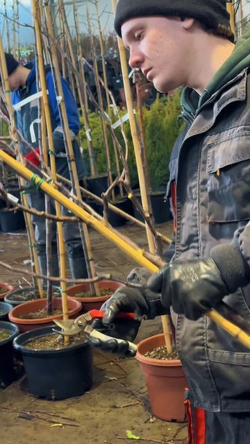 СЕЗОООН НАЧАЛСЯ!