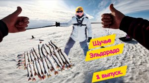 Попали на щучье Эльдорадо!!!