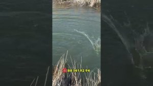 хазараспда яангилик балик овлаш осон