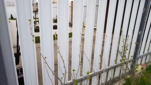 Пришла весна, началась работа!