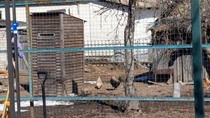 ПОГОДА РАДУЕТ-РАБОТЫ НА УЧАСТКЕ ПРОДОЛЖАЮТСЯ.