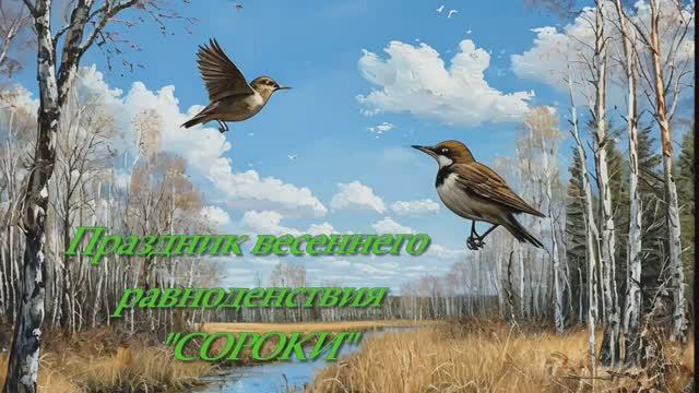 Сороки смотреть онлайн