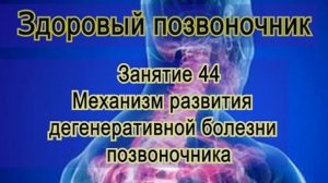 Занятие 44. Механизм развития дегенеративной болезни позвоночника