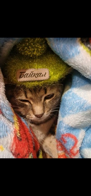 стрим с друзьями