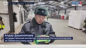 Клубника из Китая