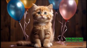 С ДОБРЫМ УТРОМ!С ДНЁМ ЛАСКОВОГО КОТЁНКА!