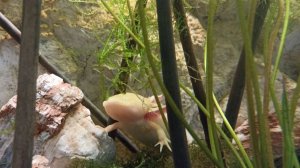 Однажды в пути!!! РОССИЯ 2 выпуск