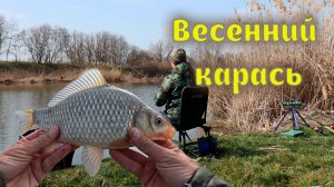 Рыбалка весной на донку, клёв карася и густеры