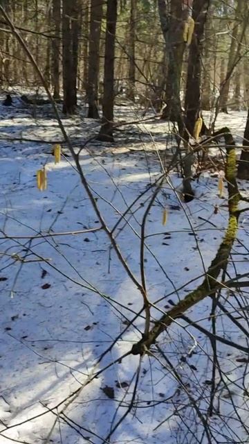 Почему вас так тянет к тем, кто вас обижает?