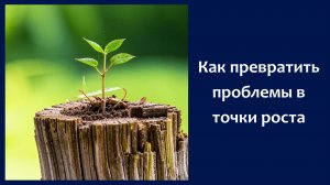 Как превратить проблемы в точки роста
