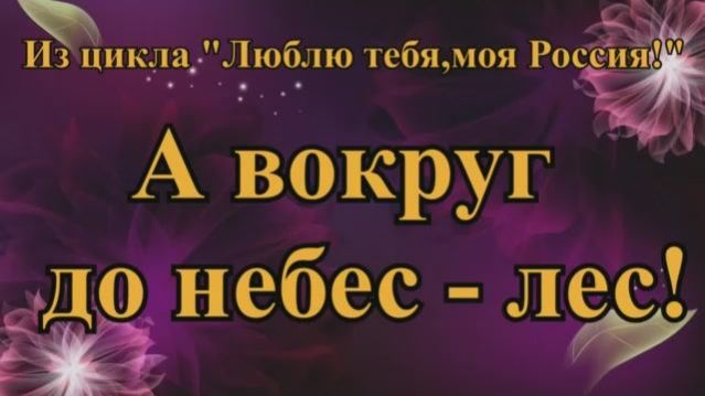 №96≪А ВОКРУГ ДО НЕБЕС - ЛЕС!≫ БАМ Таксимо Татьяна Шаманская. АВТОРЫ: Сергей Шаманский, В. Лавренчук