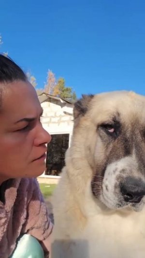 Ты вгоняешь меня в краску☺))