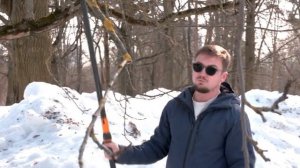 Время весенней обрезки деревьев. Первый канал