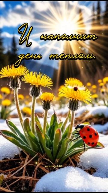 #доброеутро