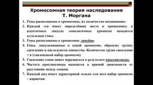 Биология Сцепленное наследование 551-25.03.26,251-27.03.26.151-3.04.26