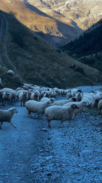 #осетия #горы #кавказ #путешествие #экскурсия #туризм #россия