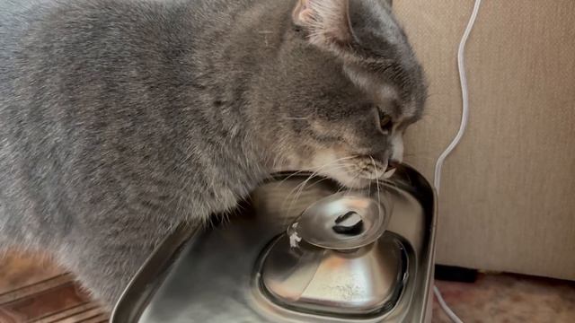 Влог с 16 по 22 марта. Прогулки. Волга. Сказочная выставка в Иванове. Привет, Санкт-Петербург