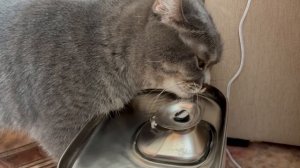 Влог с 16 по 22 марта. Прогулки. Волга. Сказочная выставка в Иванове. Привет, Санкт-Петербург