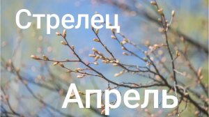 Таро расклад для Стрельцов на апрель 2026 года