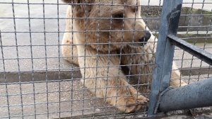 Крым. Тайган март 2026 г.