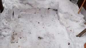 работа во дворе со снегом