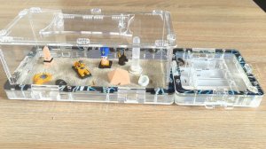 Переселение Camponotus fellah в модульный формикарий.