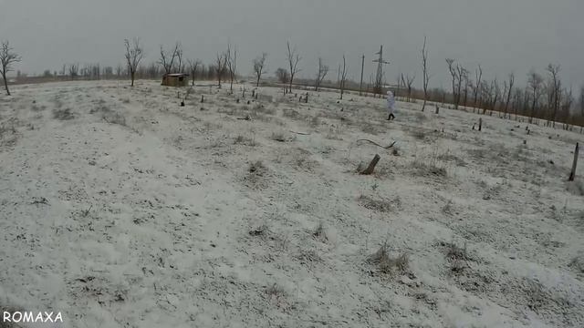 Я столько зайцев за всю жизнь не видел