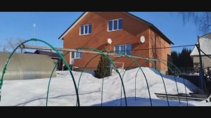 Отвечаю на вопросы. Прищипываю петунию. Сосед ворует, на других жалуется.